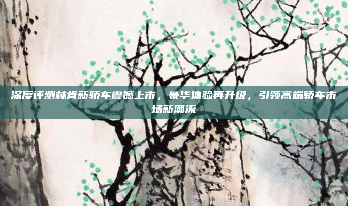 深度评测林肯新轿车震撼上市，豪华体验再升级，引领高端轿车市场新潮流
