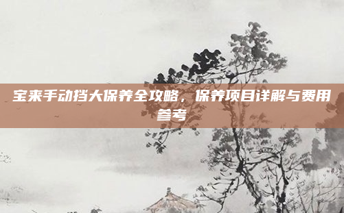 宝来手动挡大保养全攻略，保养项目详解与费用参考