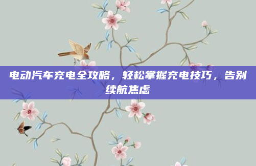 电动汽车充电全攻略，轻松掌握充电技巧，告别续航焦虑