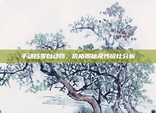 手动挡变自动挡，价格揭秘及性价比分析
