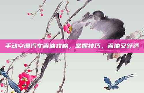 手动空调汽车省油攻略，掌握技巧，省油又舒适