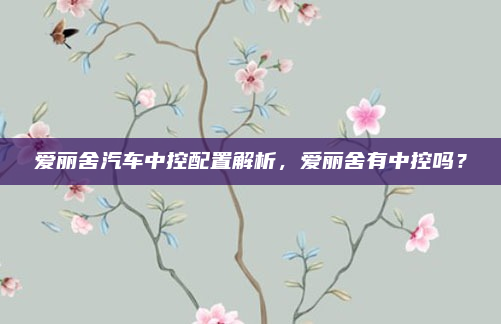 爱丽舍汽车中控配置解析，爱丽舍有中控吗？