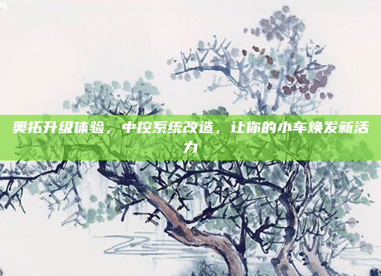 奥拓升级体验，中控系统改造，让你的小车焕发新活力