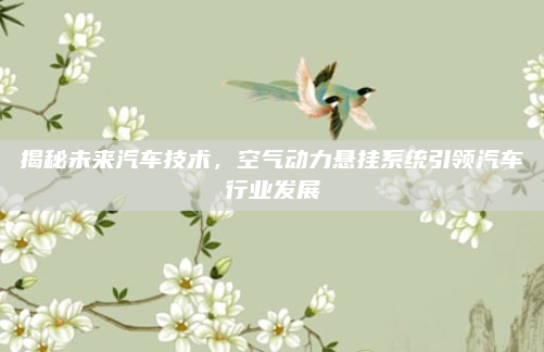 揭秘未来汽车技术，空气动力悬挂系统引领汽车行业发展