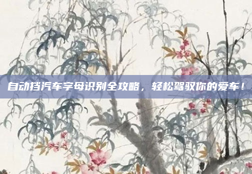 自动挡汽车字母识别全攻略,轻松驾驭你的爱车!