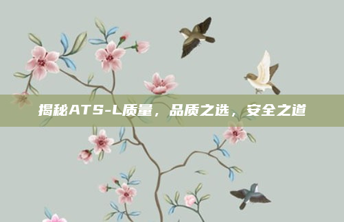 揭秘ATS-L质量,品质之选,安全之道