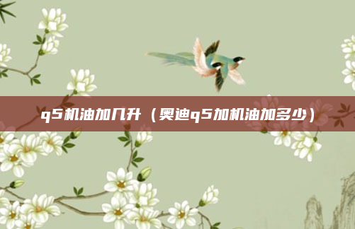 q5机油加几升(奥迪q5加机油加多少)
