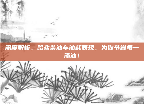 深度解析,哈弗柴油车油耗表现,为你节省每一滴油!
