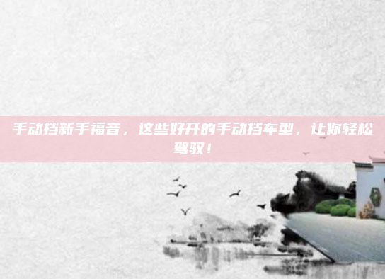 手动挡新手福音,这些好开的手动挡车型,让你轻松驾驭!