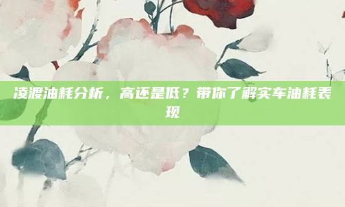 凌渡油耗分析,高还是低?带你了解实车油耗表现