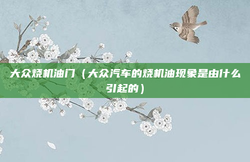 大众烧机油门(大众汽车的烧机油现象是由什么引起的)