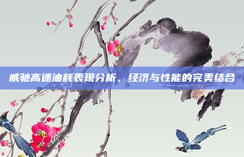 威驰高速油耗表现分析,经济与性能的完美结合