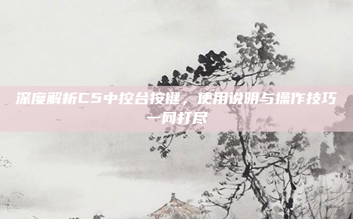 深度解析C5中控台按键,使用说明与操作技巧一网打尽