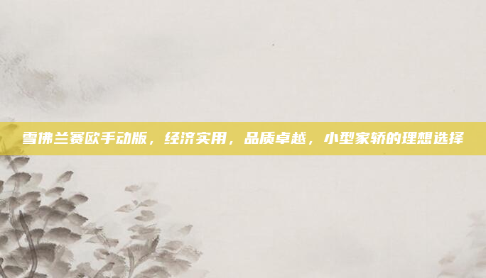 雪佛兰赛欧手动版,经济实用,品质卓越,小型家轿的理想选择
