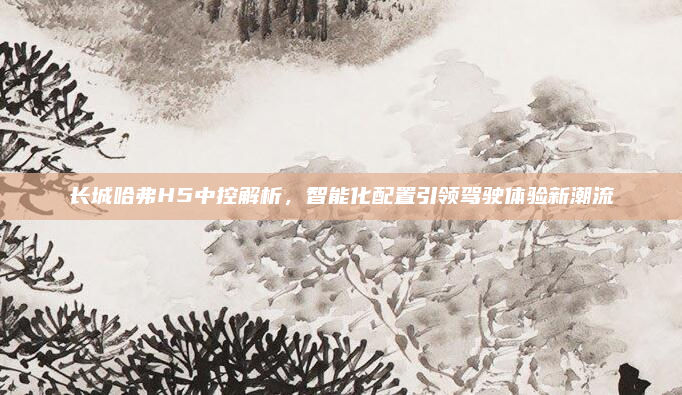 长城哈弗H5中控解析,智能化配置引领驾驶体验新潮流