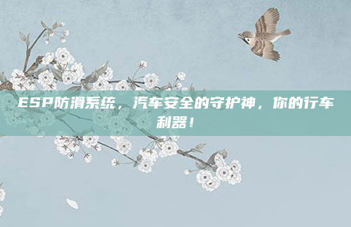 ESP防滑系统,汽车安全的守护神,你的行车利器!