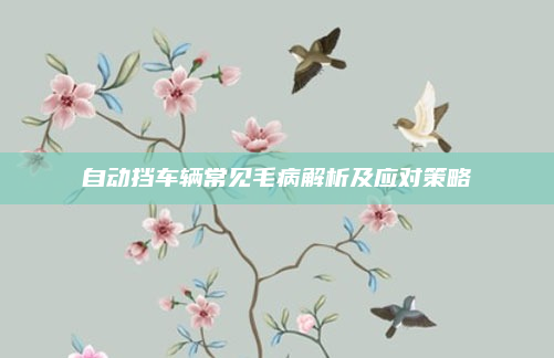 自动挡车辆常见毛病解析及应对策略