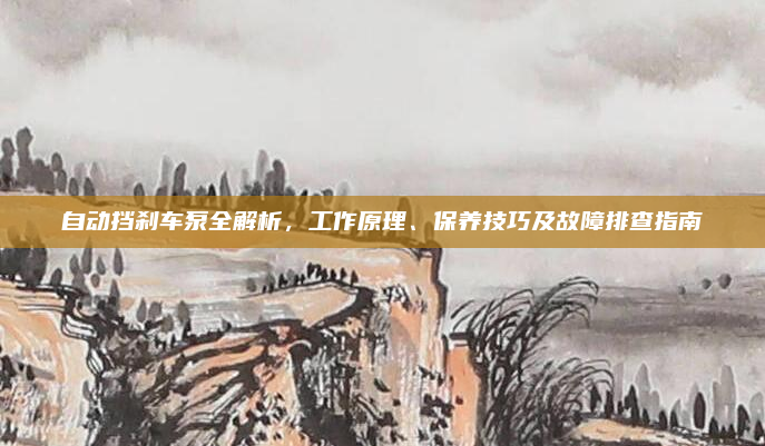 自动挡刹车泵全解析,工作原理、保养技巧及故障排查指南