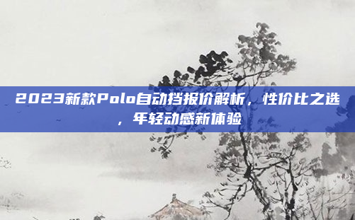 2023新款Polo自动挡报价解析,性价比之选,年轻动感新体验