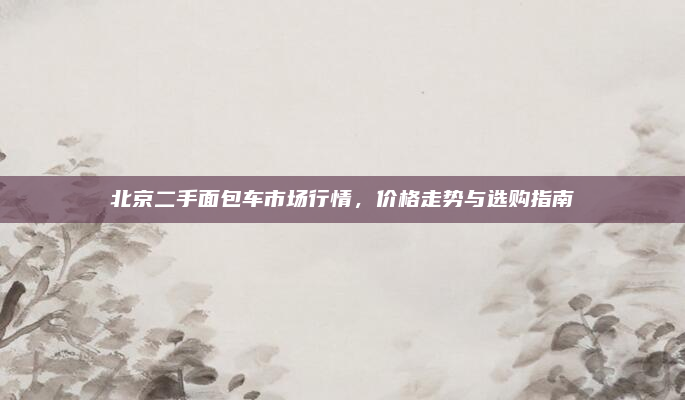 北京二手面包车市场行情,价格走势与选购指南