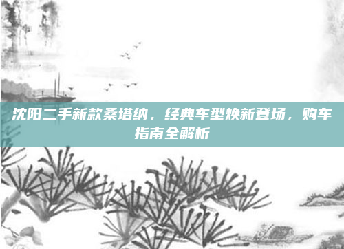 沈阳二手新款桑塔纳，经典车型焕新登场，购车指南全解析