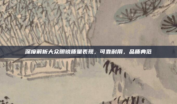 深度解析大众明锐质量表现，可靠耐用，品质典范