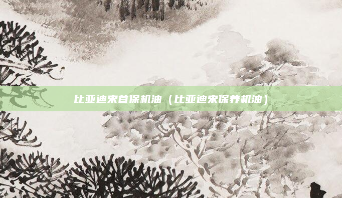 比亚迪宋首保机油(比亚迪宋保养机油)