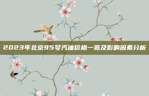 2023年北京95号汽油价格一览及影响因素分析
