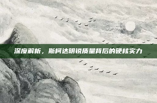 深度解析，斯柯达明锐质量背后的硬核实力