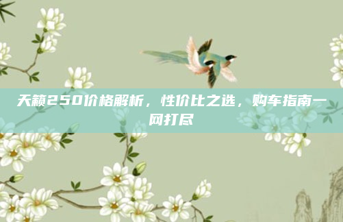 天籁250价格解析,性价比之选,购车指南一网打尽