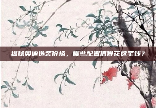 揭秘奥迪选装价格，哪些配置值得花这笔钱？