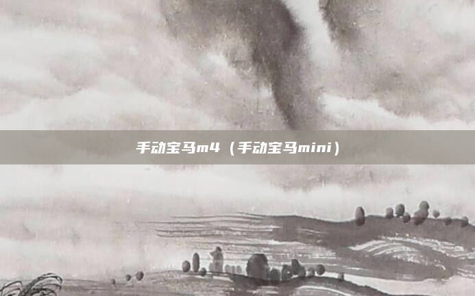 手动宝马m4(手动宝马mini)