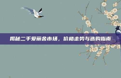 揭秘二手爱丽舍市场，价格走势与选购指南