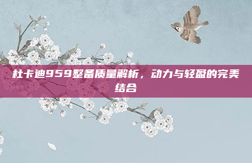 杜卡迪959整备质量解析，动力与轻盈的完美结合