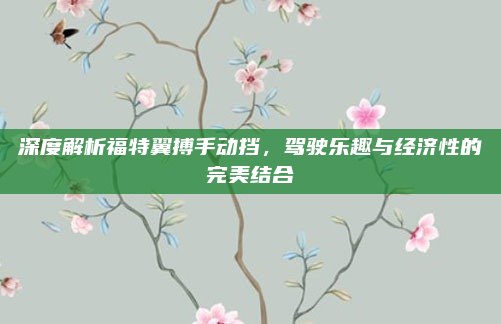 深度解析福特翼搏手动挡，驾驶乐趣与经济性的完美结合