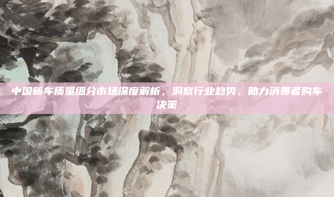 中国新车质量细分市场深度解析,洞察行业趋势,助力消费者购车决策