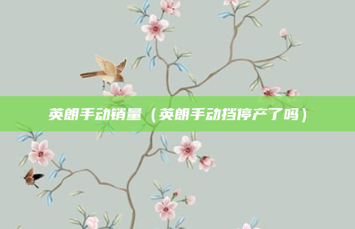 英朗手动销量(英朗手动挡停产了吗)