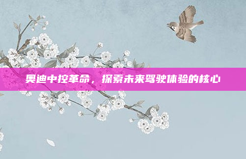 奥迪中控革命，探索未来驾驶体验的核心