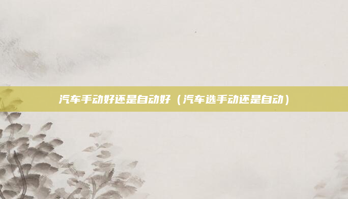 汽车手动好还是自动好(汽车选手动还是自动)