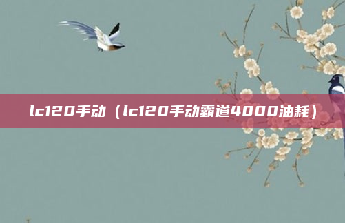lc120手动（lc120手动霸道4000油耗）