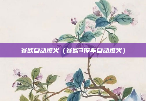 赛欧自动熄火(赛欧3停车自动熄火)