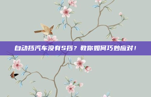 自动挡汽车没有S挡？教你如何巧妙应对！