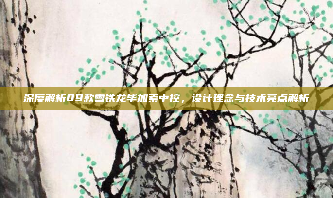 深度解析09款雪铁龙毕加索中控,设计理念与技术亮点解析