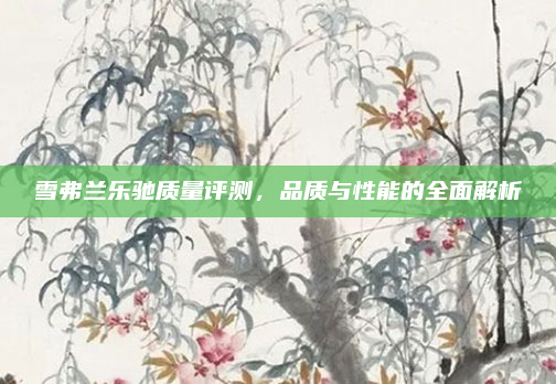 雪弗兰乐驰质量评测，品质与性能的全面解析