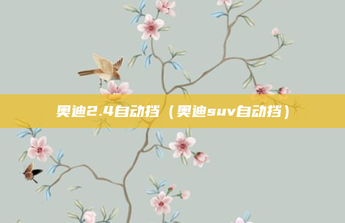 奥迪2.4自动挡(奥迪suv自动挡)