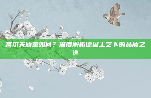高尔夫质量如何?深度解析德国工艺下的品质之选