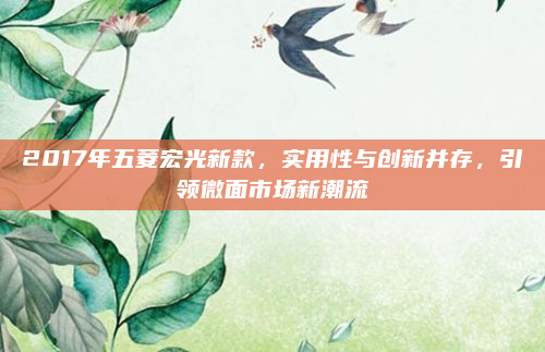 2017年五菱宏光新款，实用性与创新并存，引领微面市场新潮流
