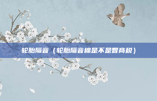 轮胎隔音(轮胎隔音棉是不是智商税)