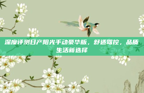 深度评测日产阳光手动豪华版,舒适驾控,品质生活新选择
