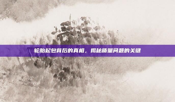 轮胎起包背后的真相,揭秘质量问题的关键